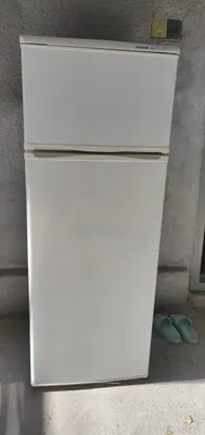 Snaig muzlatgichi 1