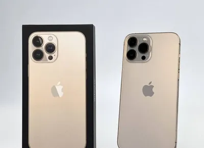 Apple iPhone 13 Pro Max
