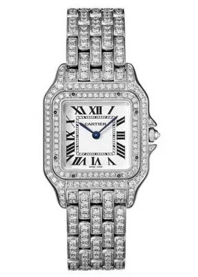 Cartier Panthere de Cartier Medium custom