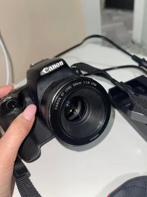 Фотоаппарат Canon EOS Rebel SL2 1