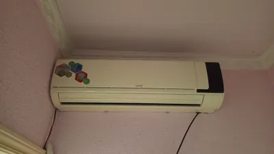 Artel 18 tali xolati ideal 1