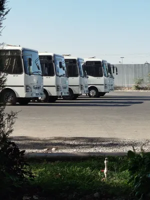 Автобусные услуги. автобус хизмати. заказ автобуса. zakaz aftobus 1