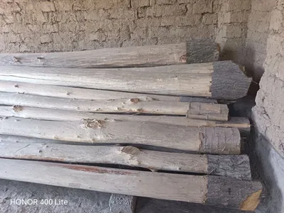 5 metrli tosinlar 30tacha bor 1