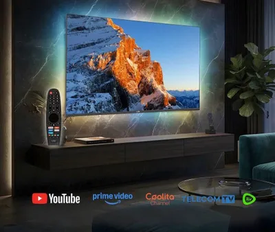 Rulls 50 televizori, WebOs FullHD — ovozli boshqaruv, sichqoncha bilan, kafolat