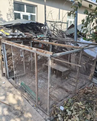 Katak qafas sotiladi 1