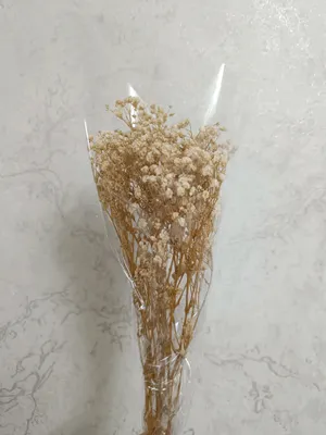 gipsofila quritilgan gullari 1