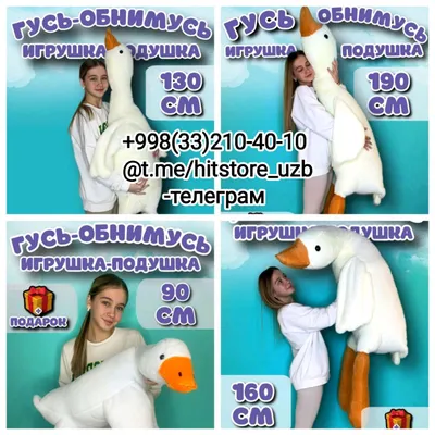 Игрушки Гусь обнимусь.Кукла Реборн.Подарки 1