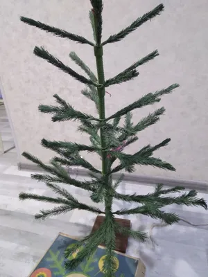 Yangi yil archasi sotiladi 1