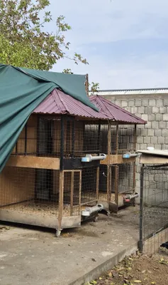 Качественная клетка в 2 этажа, окрашенная 1