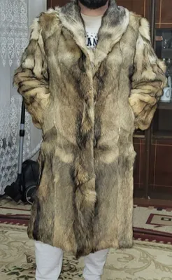 mo‘yna po‘stin