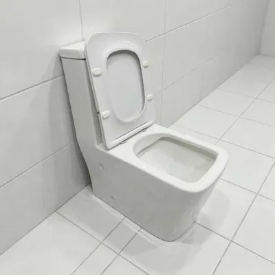 Унитаз литой со смывом Rimless Emerich 223