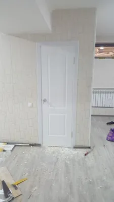 Двери канадки. Не дорого 1