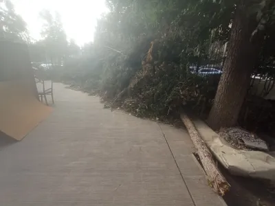 Вывоз угля 1