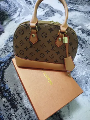 Louis Vuitton brendi sumkasi 1