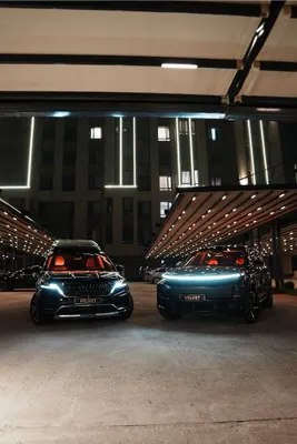 RENT A CAR ! Li 9 , Carnival Hi-Limousine . Velvet rent a car 1