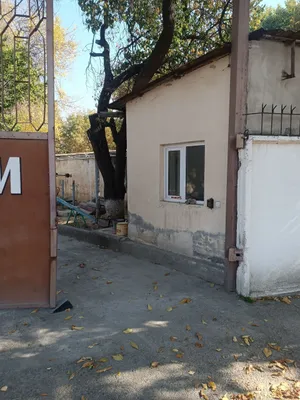 Dombrobadda 10,5 sotixlik tijorat yer uchastkasini ijaraga berish 1