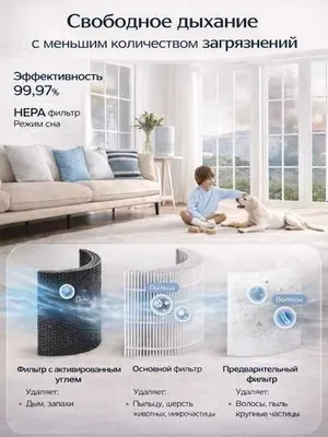 LEVOIT Core 300S 1