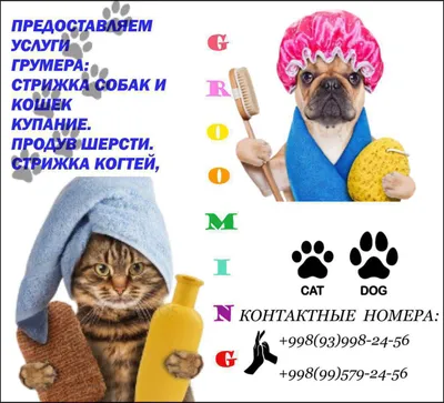 груминг для животных