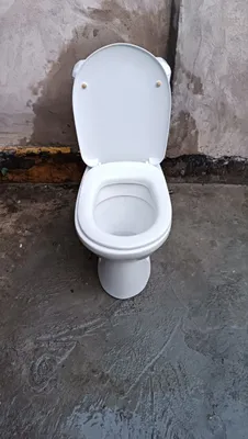 Ishlatilgan bakli unitaz 1