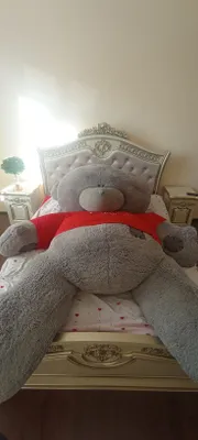 Eng katta arginal teddy ayigʻi sotiladi 1