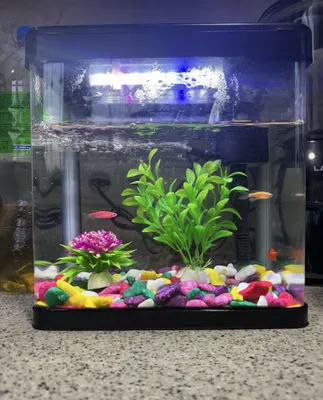 Akvarium sotiladi 1