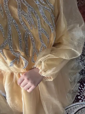 organza koylak vecherniy 1