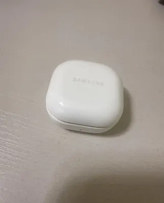 Samsung Galaxy Buds2 1