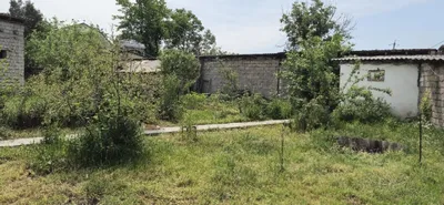 Dacha sotiladi. «Sergeli» sovxozi 1