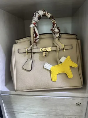 Ayollar uchun hermes sumkasi 1