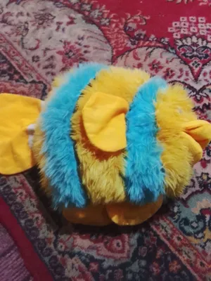 baliq