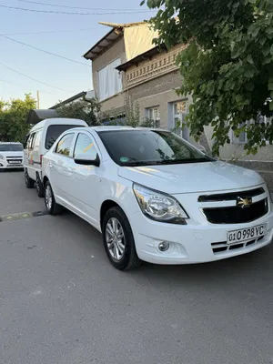 Kobalt sotladi 2025 1