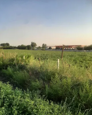 Ер 8 сотик сотилади Ал Бухори 1