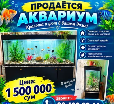 Аквариум продаётся 1
