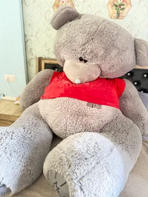 Tedi ayqcha 2