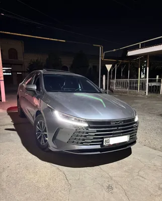 Byd chazor sotiladi 1
