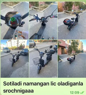 14 chontak model skuter