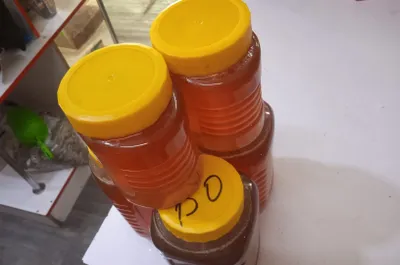 Toza asal kafolat pahtaniki