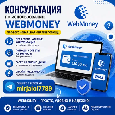 Консультация по Webmoney, советы по WMZ
