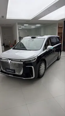 Voyah Dreamer VIP 1