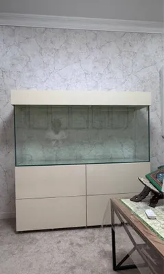 Akvarium (Аквариум) yengi. Yasatilgan. 1