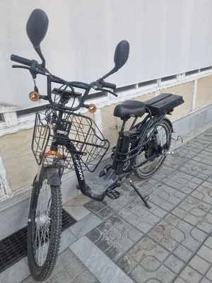 Elektro velik. 26 razmer 1