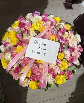 Chiroyli kompozitsiya