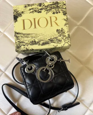 Mini sumkacha Dior 1