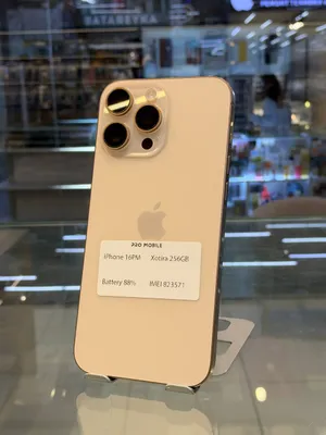 iPhone 16 Pro Max