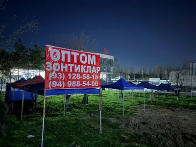 Navis ZONTIK arinda Toshkent viloyati Toshkent shahari 1
