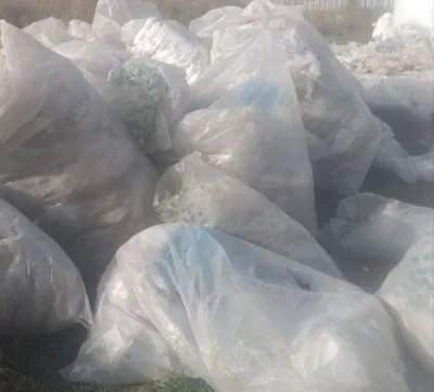 Salafan olamiz xar hil turdagi 1
