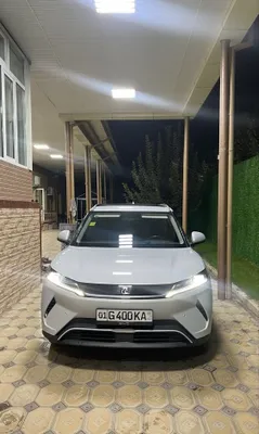Byd yuan up smart full pazitsya 1