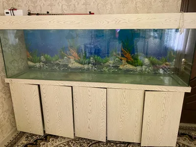 Akvarium 1