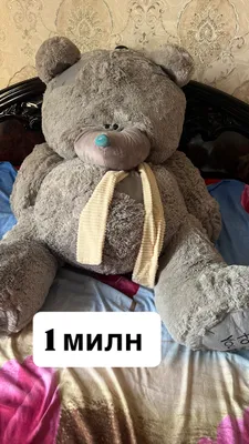 Teddy sotiladi, 2 xil kattalikda, narxi kelshiladi 1