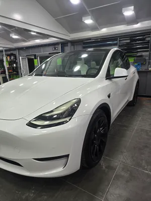 Tesla Model Y Dual Motor Long Range 2021 1